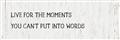 Picture of Live For The Moments _GroupedProduct_Panel_Landscape_Unframed_Print_Only_
