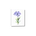 Picture of Purple Petunia I _GroupedProduct_Rectangle_Portrait_Canvas_