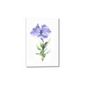 Picture of Purple Petunia I _GroupedProduct_Rectangle_Portrait_Canvas_