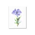 Picture of Purple Petunia I _GroupedProduct_Rectangle_Portrait_Canvas_