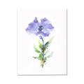 Picture of Purple Petunia I _GroupedProduct_Rectangle_Portrait_Canvas_