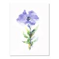 Picture of Purple Petunia I _GroupedProduct_Rectangle_Portrait_Canvas_
