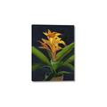 Picture of Indoor Plant _GroupedProduct_Rectangle_Portrait_Canvas_