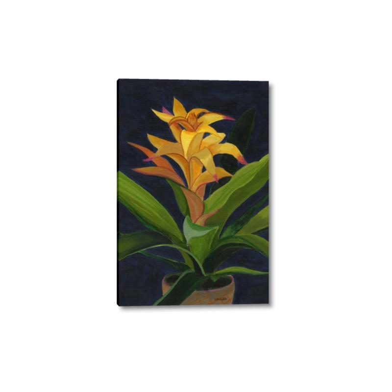 Picture of Indoor Plant _GroupedProduct_Rectangle_Portrait_Canvas_