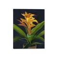Picture of Indoor Plant _GroupedProduct_Rectangle_Portrait_Canvas_