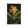 Picture of Indoor Plant _GroupedProduct_Rectangle_Portrait_Canvas_