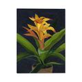 Picture of Indoor Plant _GroupedProduct_Rectangle_Portrait_Canvas_