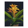 Picture of Indoor Plant _GroupedProduct_Rectangle_Portrait_Canvas_