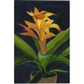 Picture of Indoor Plant _GroupedProduct_Rectangle_Portrait_Canvas_