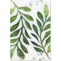Picture of Vein Leaves III _GroupedProduct_Rectangle_Portrait_Canvas_