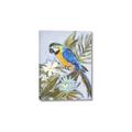 Picture of Parrot Paradise II  _GroupedProduct_Rectangle_Portrait_Canvas_