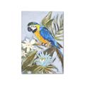 Picture of Parrot Paradise II  _GroupedProduct_Rectangle_Portrait_Canvas_