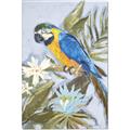 Picture of Parrot Paradise II  _GroupedProduct_Rectangle_Portrait_Canvas_