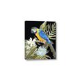 Picture of Parrot Paradise IV _GroupedProduct_Rectangle_Portrait_Canvas_