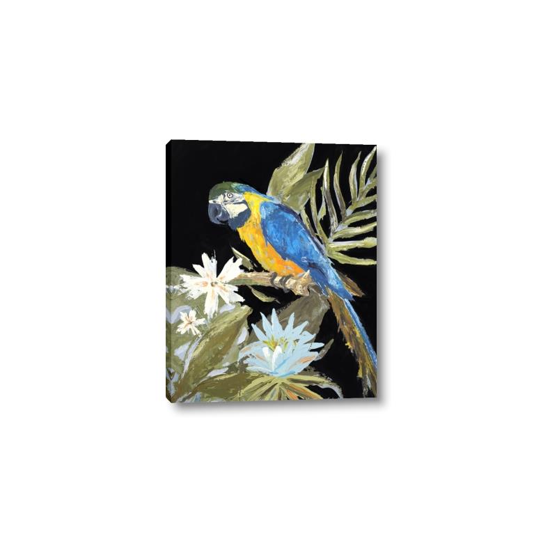 Picture of Parrot Paradise IV _GroupedProduct_Rectangle_Portrait_Canvas_