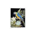Picture of Parrot Paradise IV _GroupedProduct_Rectangle_Portrait_Canvas_