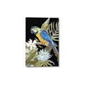 Picture of Parrot Paradise IV _GroupedProduct_Rectangle_Portrait_Canvas_