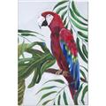 Picture of Red Parrot Paradise I _GroupedProduct_Rectangle_Portrait_Canvas_