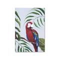 Picture of Red Parrot Paradise II _GroupedProduct_Rectangle_Portrait_Canvas_