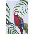 Picture of Red Parrot Paradise II _GroupedProduct_Rectangle_Portrait_Canvas_