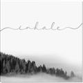 Picture of Inhale I _GroupedProduct_Square_Canvas_