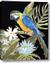 Picture of Parrot Paradise IV