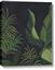 Picture of Tropical Palm Leaves II