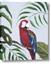Picture of Red Parrot Paradise II