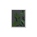 Picture of Vein Leaves I _GroupedProduct_Rectangle_Portrait_Canvas_Framed_