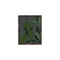 Picture of Vein Leaves I _GroupedProduct_Rectangle_Portrait_Canvas_Framed_