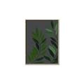 Picture of Vein Leaves I _GroupedProduct_Rectangle_Portrait_Canvas_Framed_