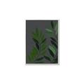 Picture of Vein Leaves I _GroupedProduct_Rectangle_Portrait_Canvas_Framed_
