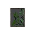 Picture of Vein Leaves I _GroupedProduct_Rectangle_Portrait_Canvas_Framed_