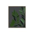 Picture of Vein Leaves I _GroupedProduct_Rectangle_Portrait_Canvas_Framed_