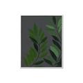 Picture of Vein Leaves I _GroupedProduct_Rectangle_Portrait_Canvas_Framed_