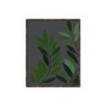 Picture of Vein Leaves I _GroupedProduct_Rectangle_Portrait_Canvas_Framed_