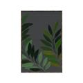 Picture of Vein Leaves II _GroupedProduct_Rectangle_Portrait_Canvas_Framed_