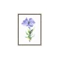 Picture of Purple Petunia I _GroupedProduct_Rectangle_Portrait_Canvas_Framed_