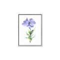 Picture of Purple Petunia I _GroupedProduct_Rectangle_Portrait_Canvas_Framed_