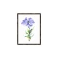 Picture of Purple Petunia I _GroupedProduct_Rectangle_Portrait_Canvas_Framed_