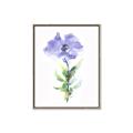 Picture of Purple Petunia I _GroupedProduct_Rectangle_Portrait_Canvas_Framed_