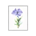 Picture of Purple Petunia I _GroupedProduct_Rectangle_Portrait_Canvas_Framed_