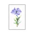 Picture of Purple Petunia I _GroupedProduct_Rectangle_Portrait_Canvas_Framed_