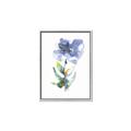 Picture of Purple Petunia II _GroupedProduct_Rectangle_Portrait_Canvas_Framed_