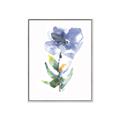 Picture of Purple Petunia II _GroupedProduct_Rectangle_Portrait_Canvas_Framed_
