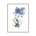 Picture of Purple Petunia II _GroupedProduct_Rectangle_Portrait_Canvas_Framed_