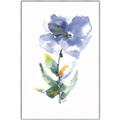 Picture of Purple Petunia II _GroupedProduct_Rectangle_Portrait_Canvas_Framed_