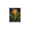 Picture of Indoor Plant _GroupedProduct_Rectangle_Portrait_Canvas_Framed_