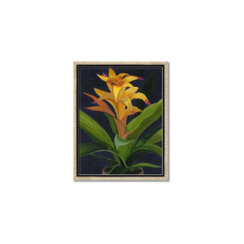 Picture of Indoor Plant _GroupedProduct_Rectangle_Portrait_Canvas_Framed_
