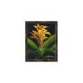 Picture of Indoor Plant _GroupedProduct_Rectangle_Portrait_Canvas_Framed_